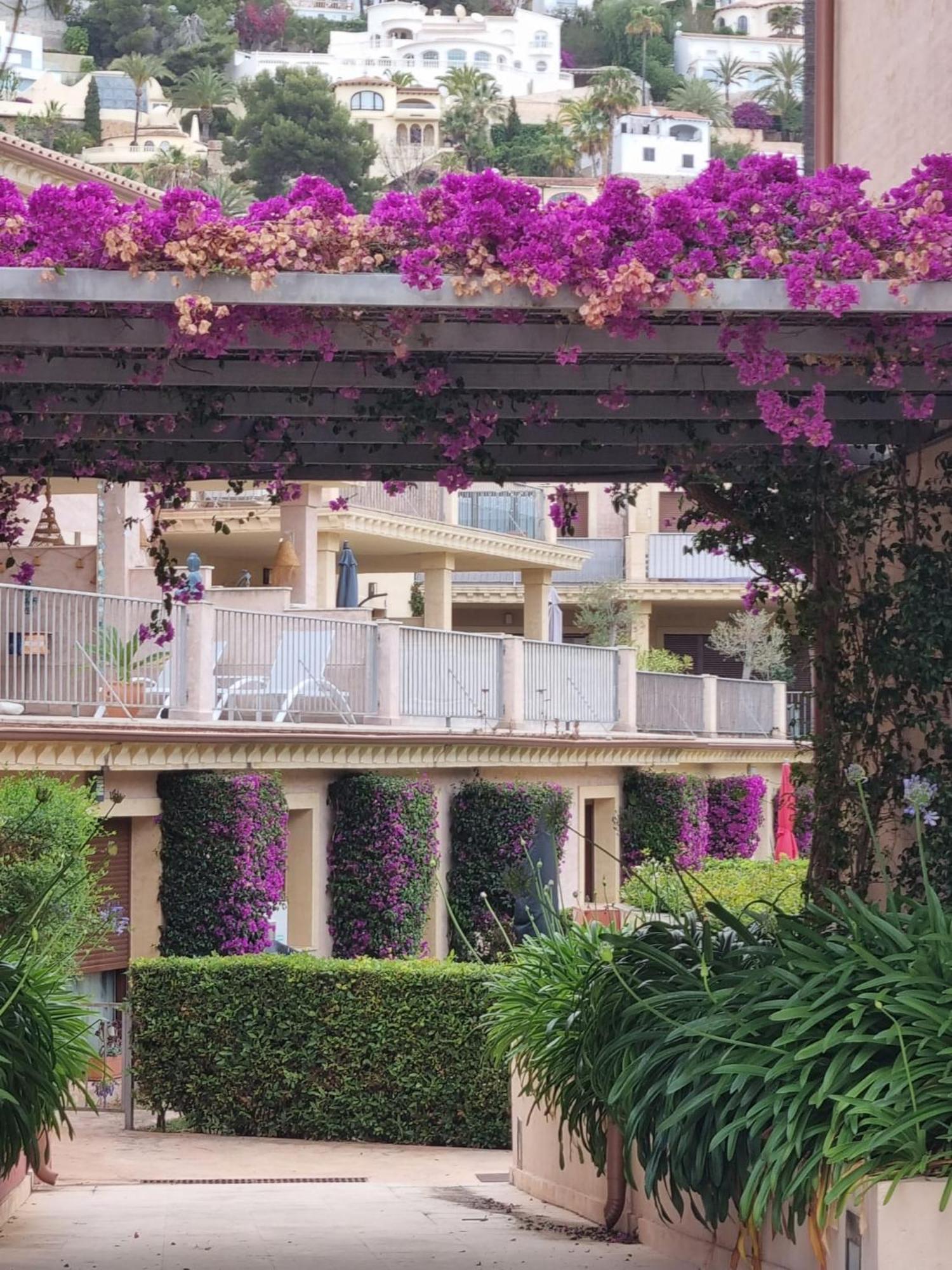 Апартаменты Casa Violette Морайра Экстерьер фото